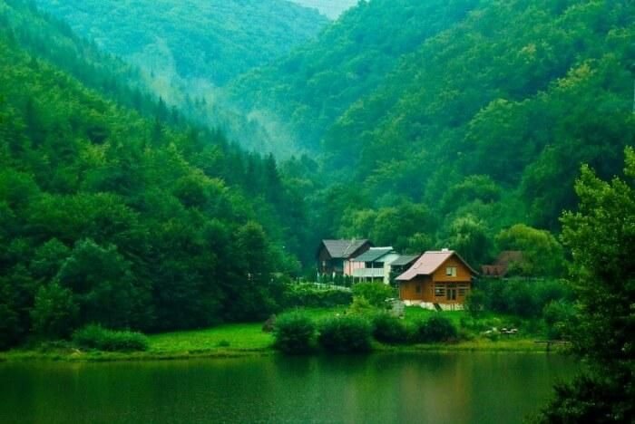 wallpaper shop in RK Puram delhi