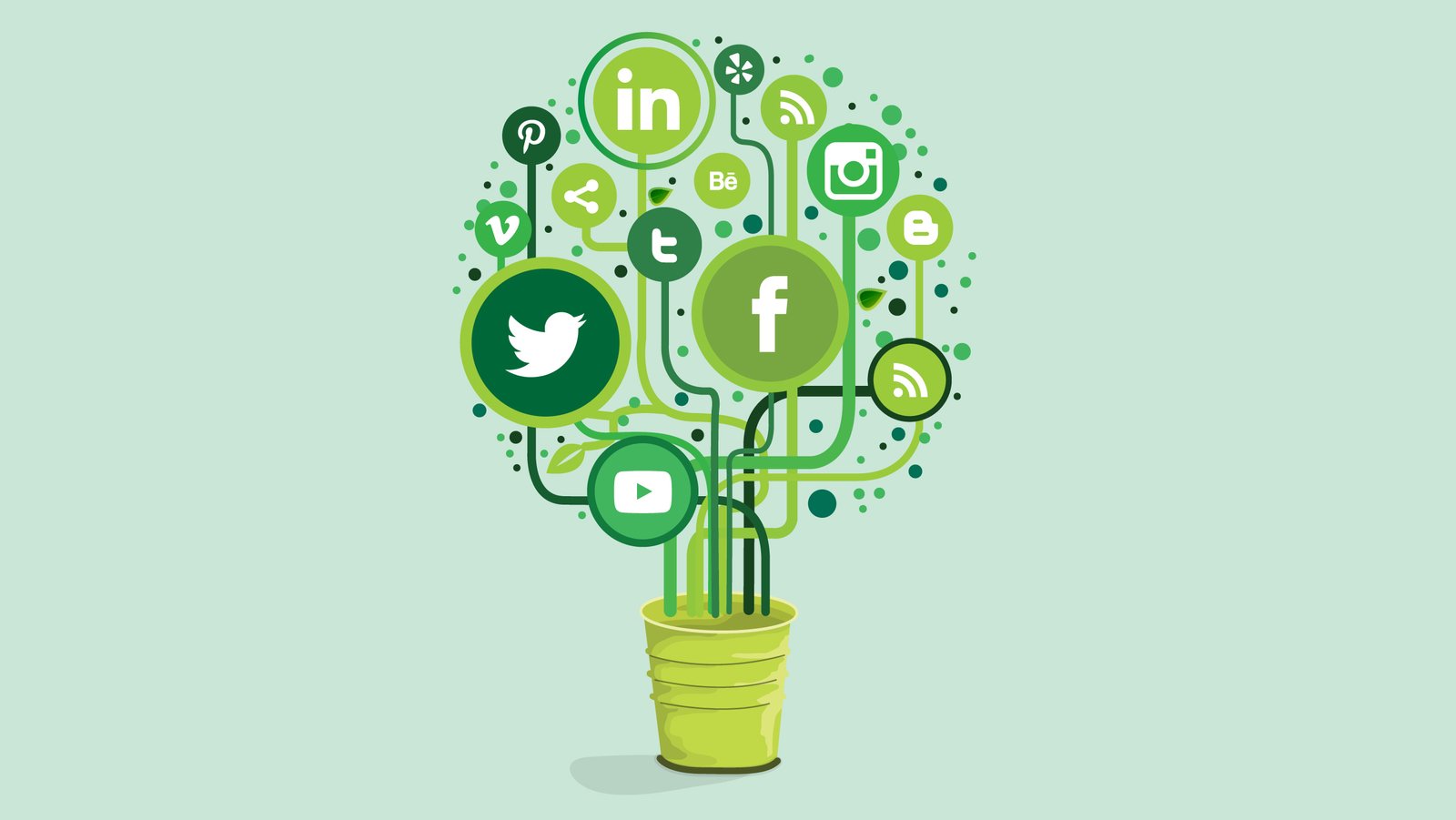 Best Social Media Management Services in Rohini, Delhi