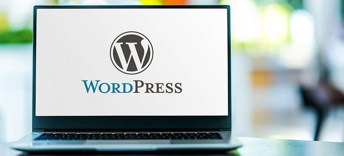 Best WordPress Website Services in New Delhi