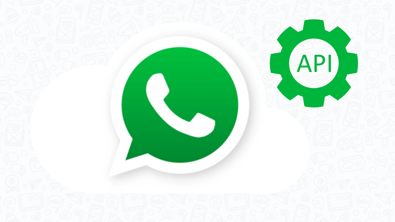 Best WhatsApp API Service Provider in Delhi NCR