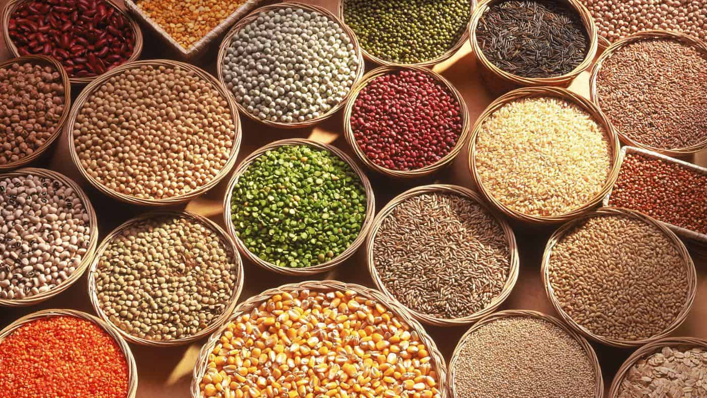 Top Grains Exporter in India